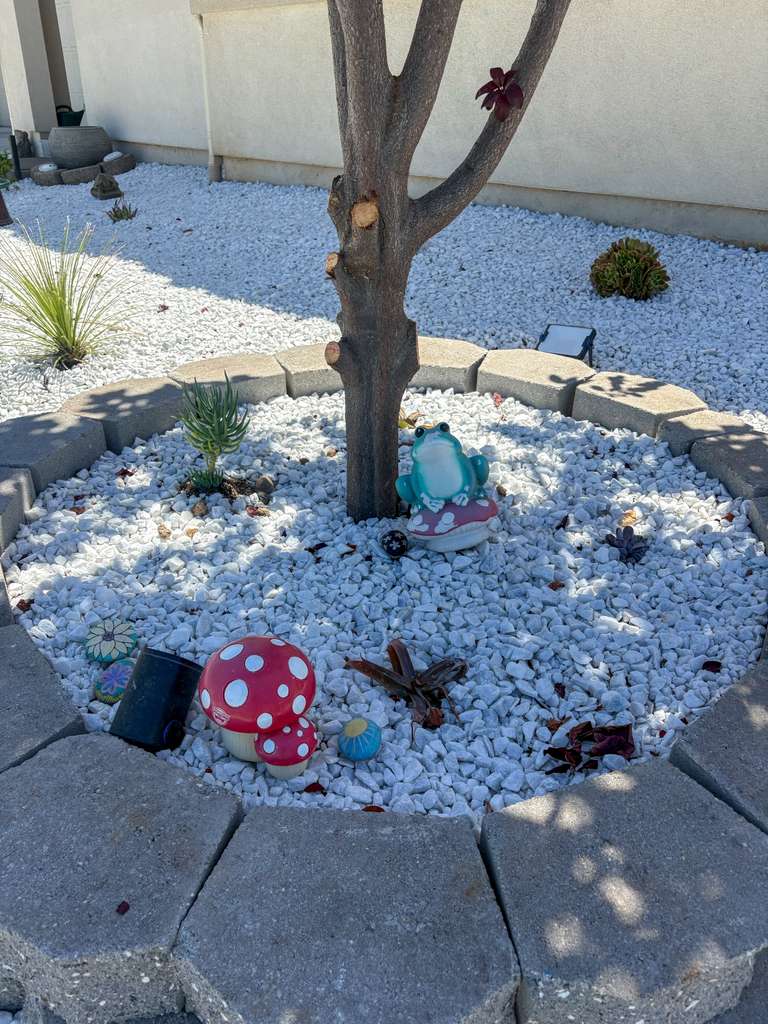 Irrigation project 1